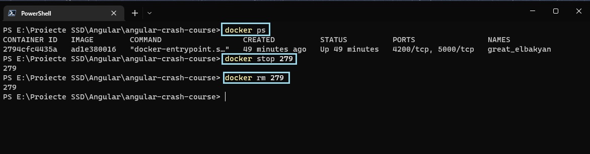 Docker Beginner's Tutorial