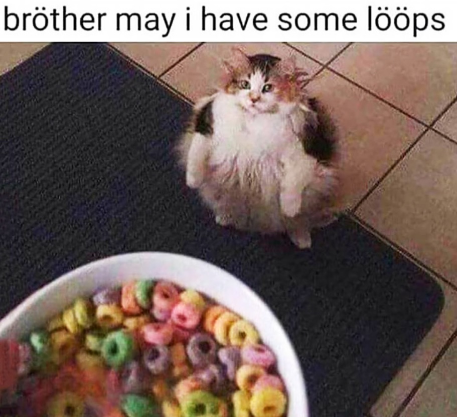 Cat Brother May I have some Loops